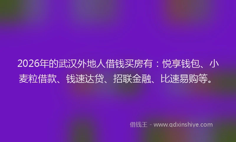 2026年的武汉外地人借钱买房有：悦享钱包、小麦粒借款、钱速达贷、招联金融、比速易购等。