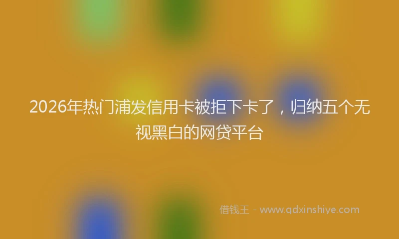 2026年热门浦发信用卡被拒下卡了，归纳五个无视黑白的网贷平台