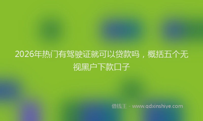 2026年热门有驾驶证就可以贷款吗，概括五个无视黑户下款口子