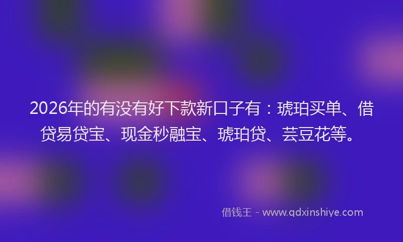 2026年的有没有好下款新口子有:琥珀买单、借贷易贷宝、现金秒融宝、琥珀贷、芸豆花等。