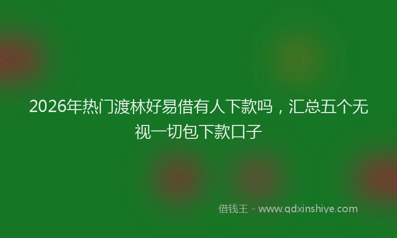 2026年热门渡林好易借有人下款吗，汇总五个无视一切包下款口子