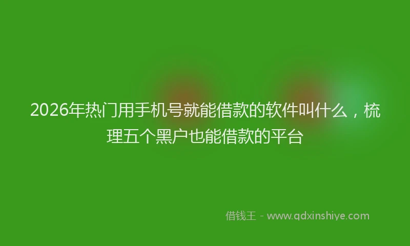 2026年热门用手机号就能借款的软件叫什么，梳理五个黑户也能借款的平台