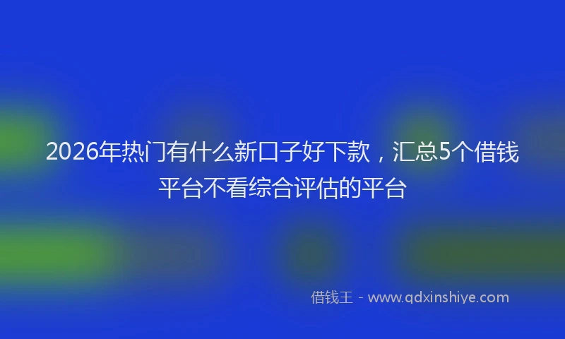 2026年热门有什么新口子好下款，汇总5个借钱平台不看综合评估的平台