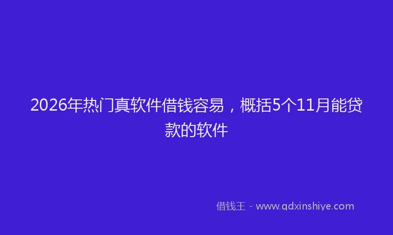 2026年热门真软件借钱容易，概括5个11月能贷款的软件