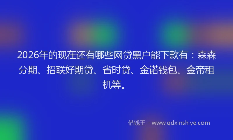 2026年的现在还有哪些网贷黑户能下款有：森森分期、招联好期贷、省时贷、金诺钱包、金帝租机等。