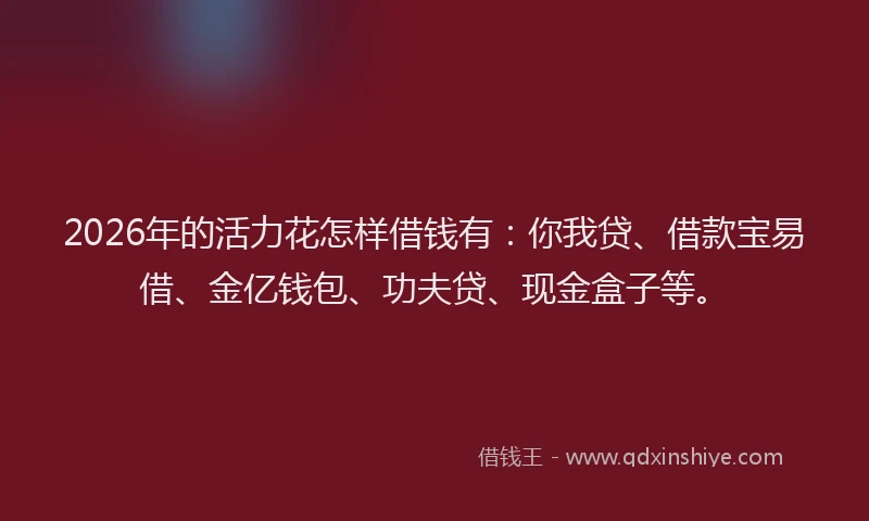 2026年的活力花怎样借钱有：你我贷、借款宝易借、金亿钱包、功夫贷、现金盒子等。