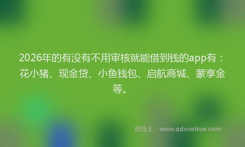 2026年的有没有不用审核就能借到钱的app有:花小猪、现金贷、小鱼钱包、启航商城、蒙享金等。