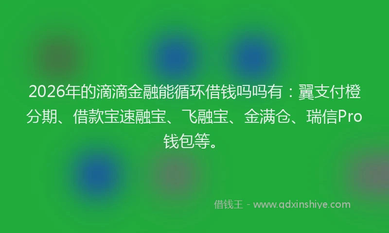 2026年的滴滴金融能循环借钱吗吗有：翼支付橙分期、借款宝速融宝、飞融宝、金满仓、瑞信Pro钱包等。