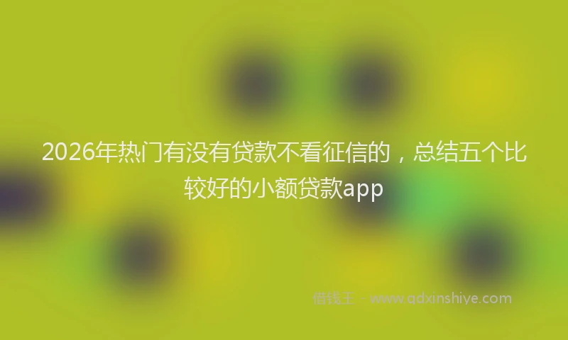 2026年热门有没有贷款不看征信的，总结五个比较好的小额贷款app