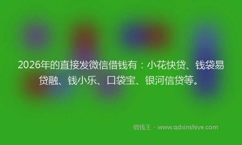 2026年的直接发微信借钱有：小花快贷、钱袋易贷融、钱小乐、口袋宝、银河信贷等。
