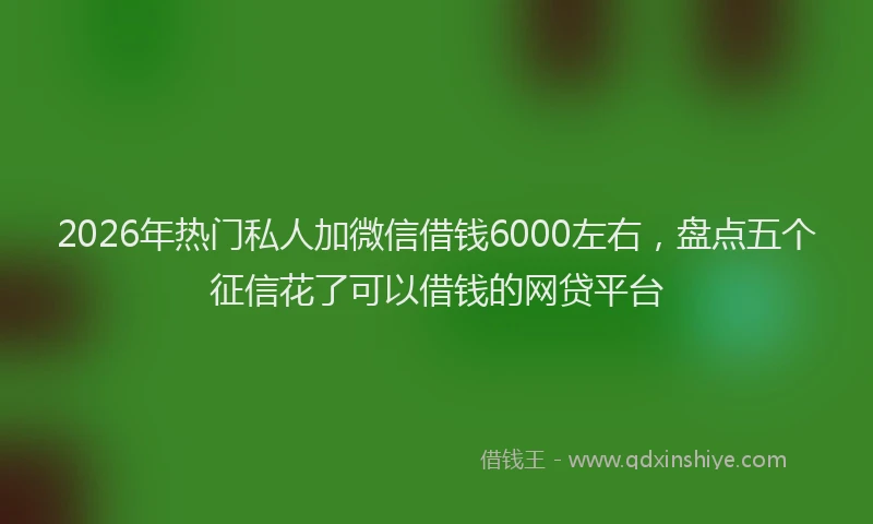 2026年热门私人加微信借钱6000左右，盘点五个征信花了可以借钱的网贷平台