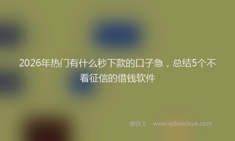 2026年热门有什么秒下款的口子急,总结5个不看征信的借钱软件