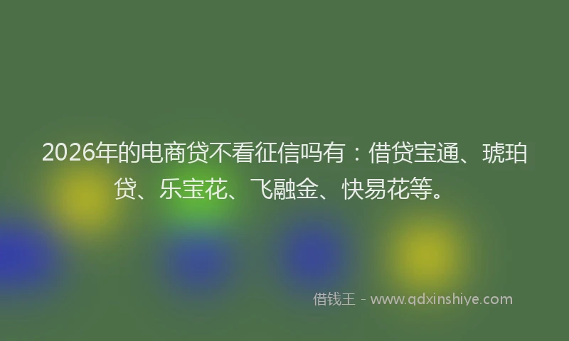 2026年的电商贷不看征信吗有：借贷宝通、琥珀贷、乐宝花、飞融金、快易花等。