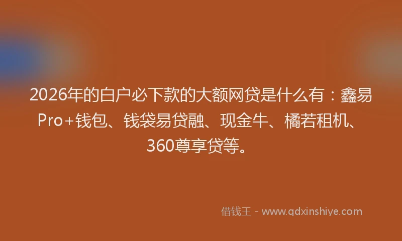 2026年的白户必下款的大额网贷是什么有：鑫易Pro+钱包、钱袋易贷融、现金牛、橘若租机、360尊享贷等。