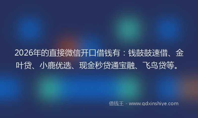 2026年的直接微信开口借钱有：钱鼓鼓速借、金叶贷、小鹿优选、现金秒贷通宝融、飞鸟贷等。