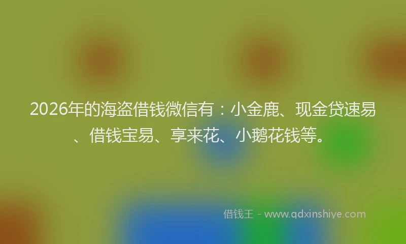 2026年的海盗借钱微信有：小金鹿、现金贷速易、借钱宝易、享来花、小鹅花钱等。