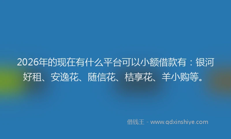 2026年的现在有什么平台可以小额借款有：银河好租、安逸花、随信花、桔享花、羊小购等。