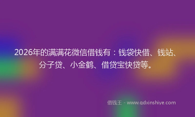 2026年的满满花微信借钱有：钱袋快借、钱站、分子贷、小金鹤、借贷宝快贷等。