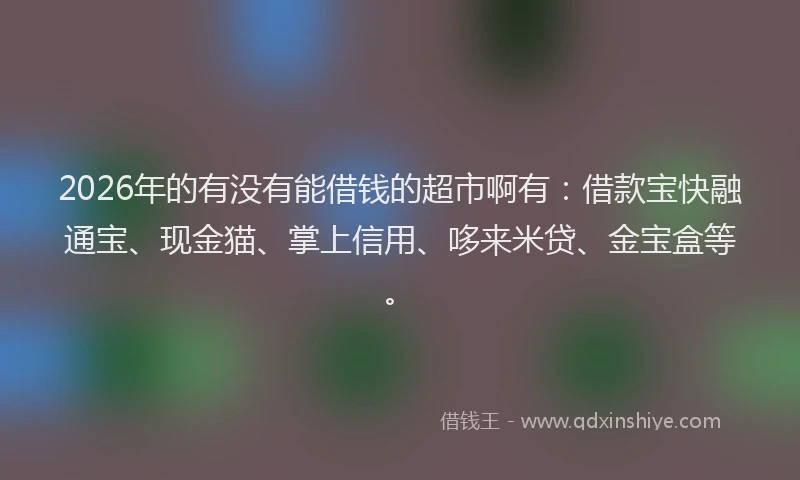 2026年的有没有能借钱的超市啊有：借款宝快融通宝、现金猫、掌上信用、哆来米贷、金宝盒等。