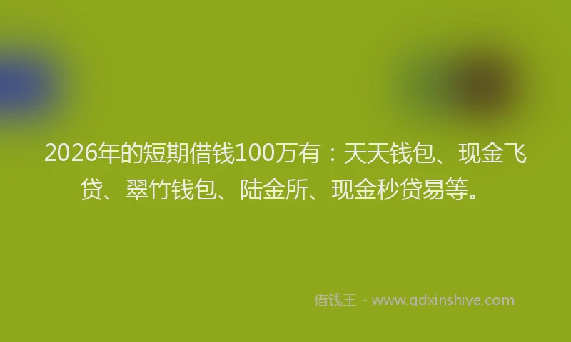 2026年的短期借钱100万有：天天钱包、现金飞贷、翠竹钱包、陆金所、现金秒贷易等。