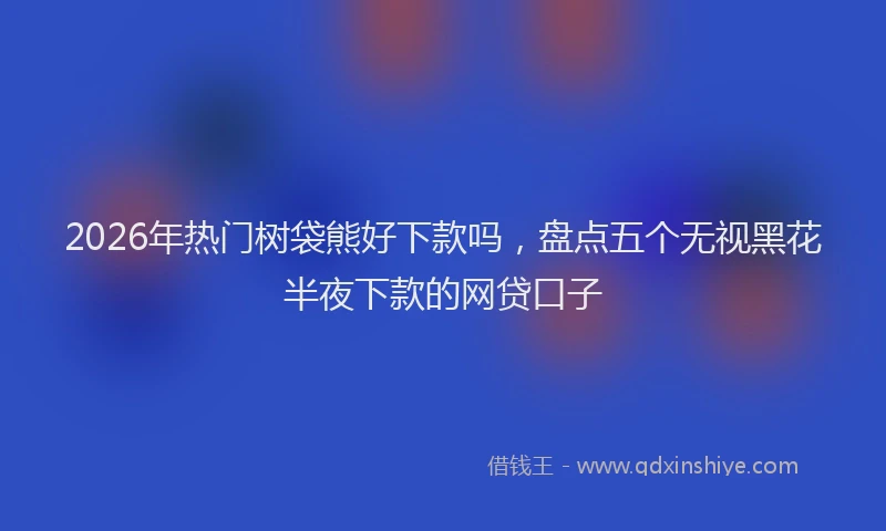 2026年热门树袋熊好下款吗,盘点五个无视黑花半夜下款的网贷口子