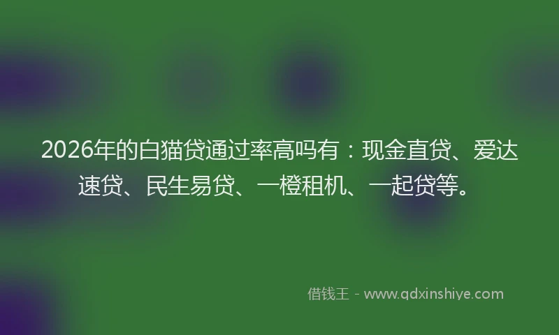 2026年的白猫贷通过率高吗有:现金直贷、爱达速贷、民生易贷、一橙租机、一起贷等。