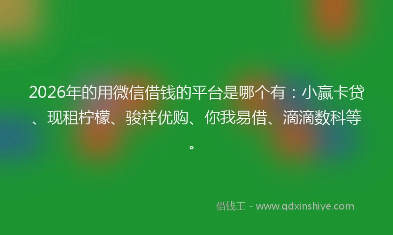 2026年的用微信借钱的平台是哪个有：小赢卡贷、现租柠檬、骏祥优购、你我易借、滴滴数科等。