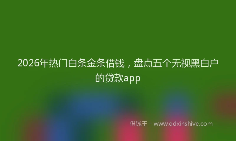 2026年热门白条金条借钱，盘点五个无视黑白户的贷款app