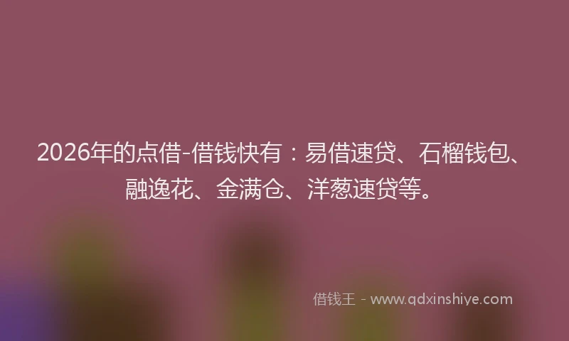 2026年的点借-借钱快有：易借速贷、石榴钱包、融逸花、金满仓、洋葱速贷等。