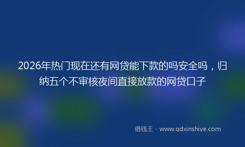 2026年热门现在还有网贷能下款的吗安全吗,归纳五个不审核夜间直接放款的网贷口子