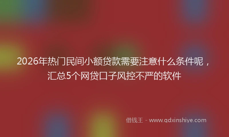 2026年热门民间小额贷款需要注意什么条件呢，汇总5个网贷口子风控不严的软件