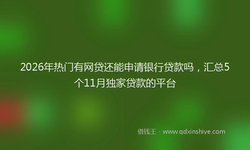 2026年热门有网贷还能申请银行贷款吗，汇总5个11月独家贷款的平台