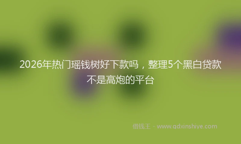 2026年热门瑶钱树好下款吗，整理5个黑白贷款不是高炮的平台
