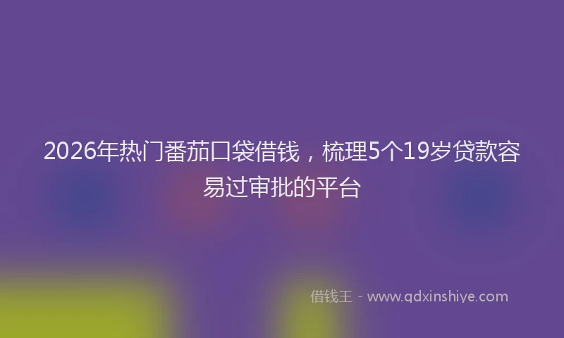 2026年热门番茄口袋借钱，梳理5个19岁贷款容易过审批的平台