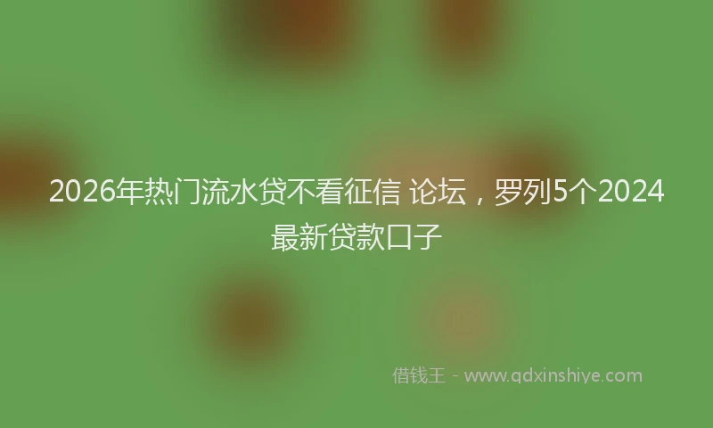 2026年热门流水贷不看征信 论坛，罗列5个2024最新贷款口子