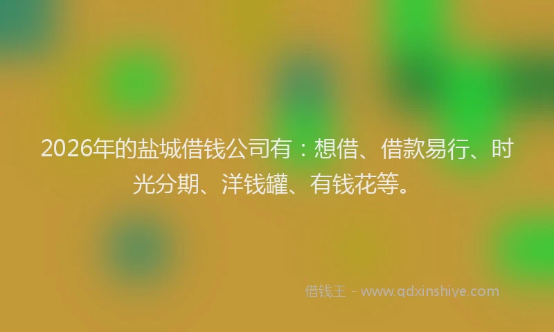 2026年的盐城借钱公司有：想借、借款易行、时光分期、洋钱罐、有钱花等。