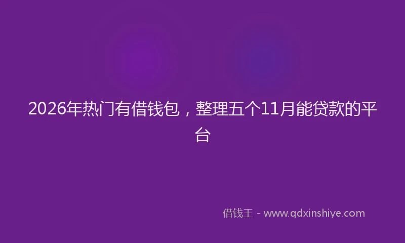 2026年热门有借钱包，整理五个11月能贷款的平台