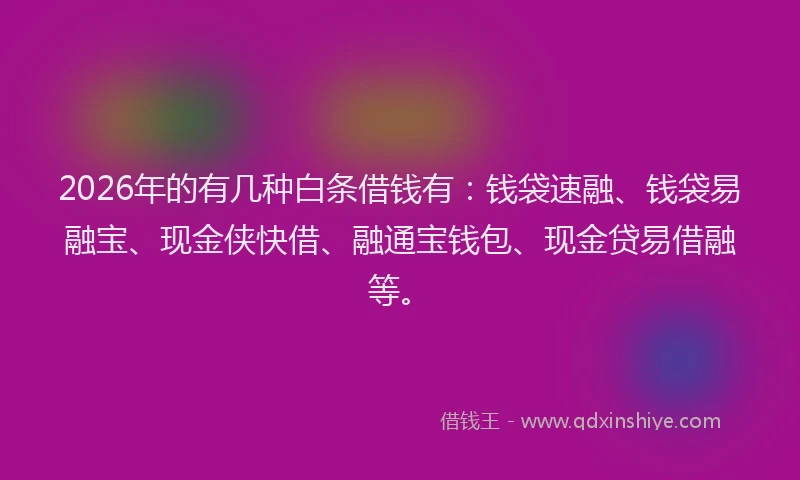 2026年的有几种白条借钱有：钱袋速融、钱袋易融宝、现金侠快借、融通宝钱包、现金贷易借融等。