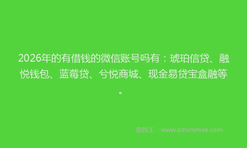 2026年的有借钱的微信账号吗有：琥珀信贷、融悦钱包、蓝莓贷、兮悦商城、现金易贷宝盒融等。