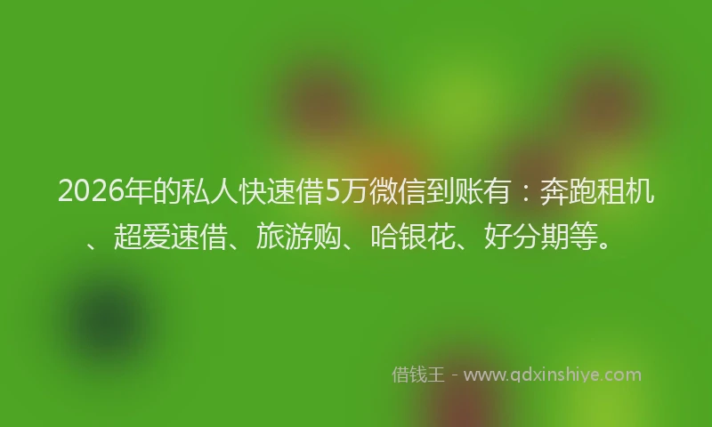 2026年的私人快速借5万微信到账有：奔跑租机、超爱速借、旅游购、哈银花、好分期等。