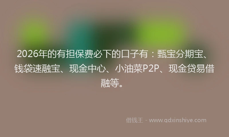 2026年的有担保费必下的口子有：甄宝分期宝、钱袋速融宝、现金中心、小油菜P2P、现金贷易借融等。