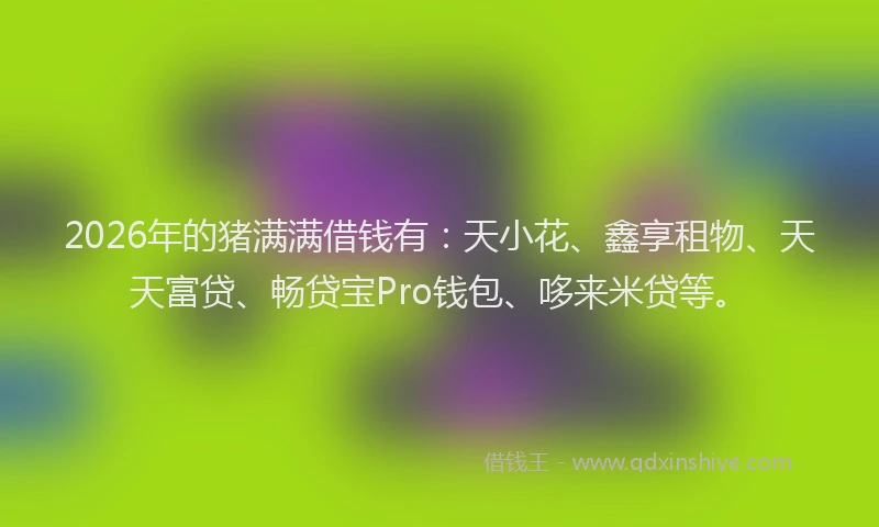 2026年的猪满满借钱有：天小花、鑫享租物、天天富贷、畅贷宝Pro钱包、哆来米贷等。