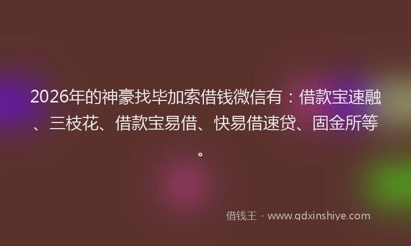 2026年的神豪找毕加索借钱微信有：借款宝速融、三枝花、借款宝易借、快易借速贷、固金所等。