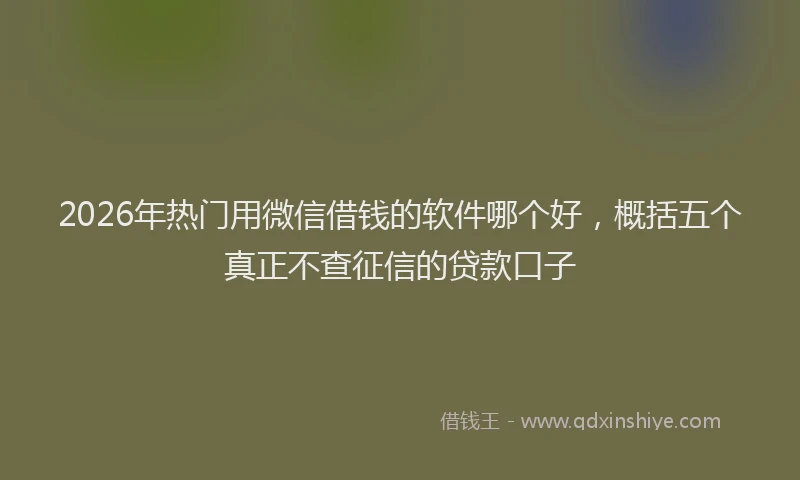 2026年热门用微信借钱的软件哪个好，概括五个真正不查征信的贷款口子
