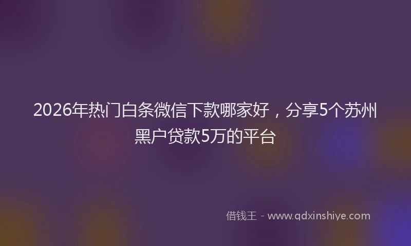 2026年热门白条微信下款哪家好，分享5个苏州黑户贷款5万的平台
