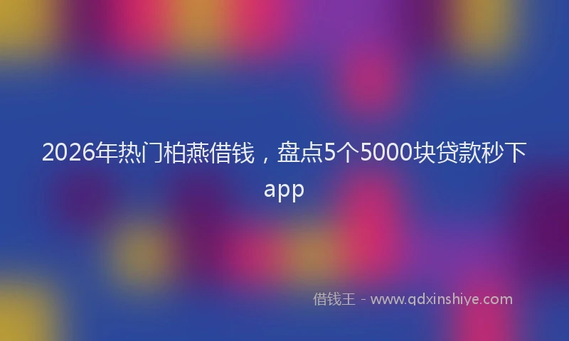 2026年热门柏燕借钱，盘点5个5000块贷款秒下app