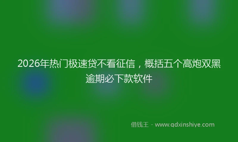 2026年热门极速贷不看征信，概括五个高炮双黑逾期必下款软件