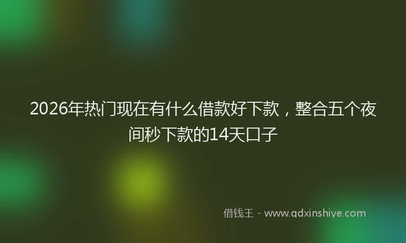 2026年热门现在有什么借款好下款，整合五个夜间秒下款的14天口子