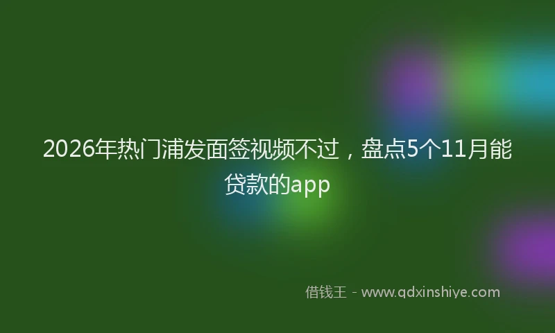 2026年热门浦发面签视频不过,盘点5个11月能贷款的app