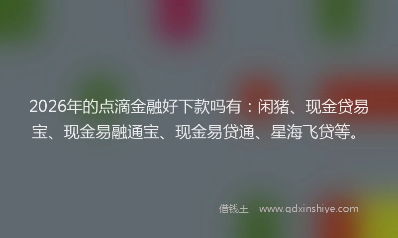 2026年的点滴金融好下款吗有：闲猪、现金贷易宝、现金易融通宝、现金易贷通、星海飞贷等。